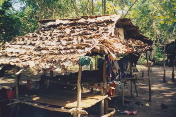 บ้านใหม่ของ “เลา”