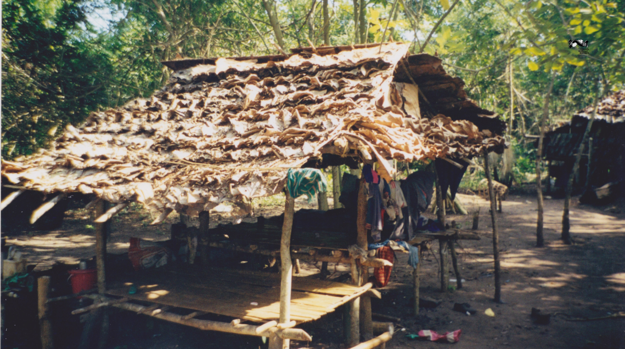 บ้านใหม่ของ “เลา”